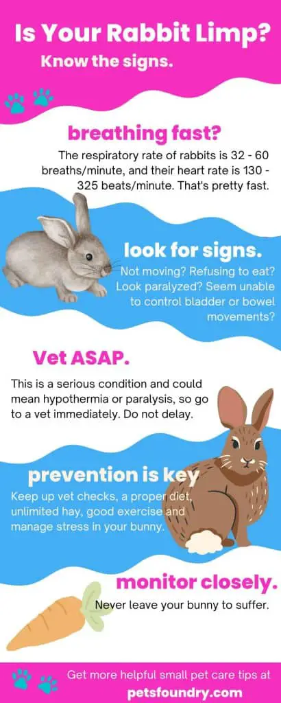 Rabbit is limp but still breathing: infographic