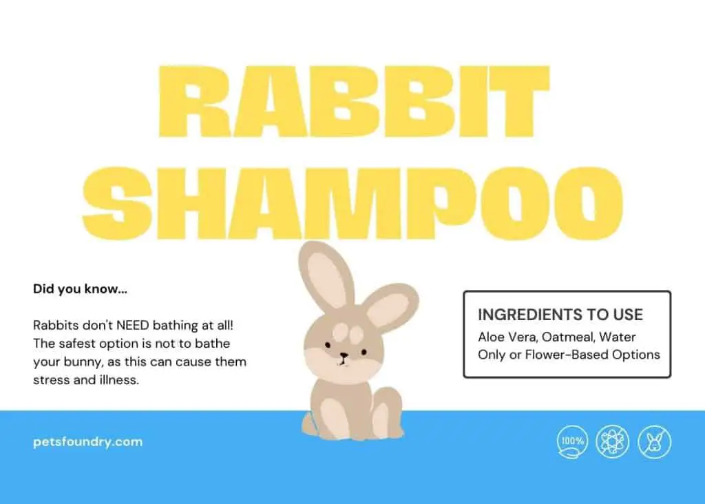rabbit shampoo: bunny infographic