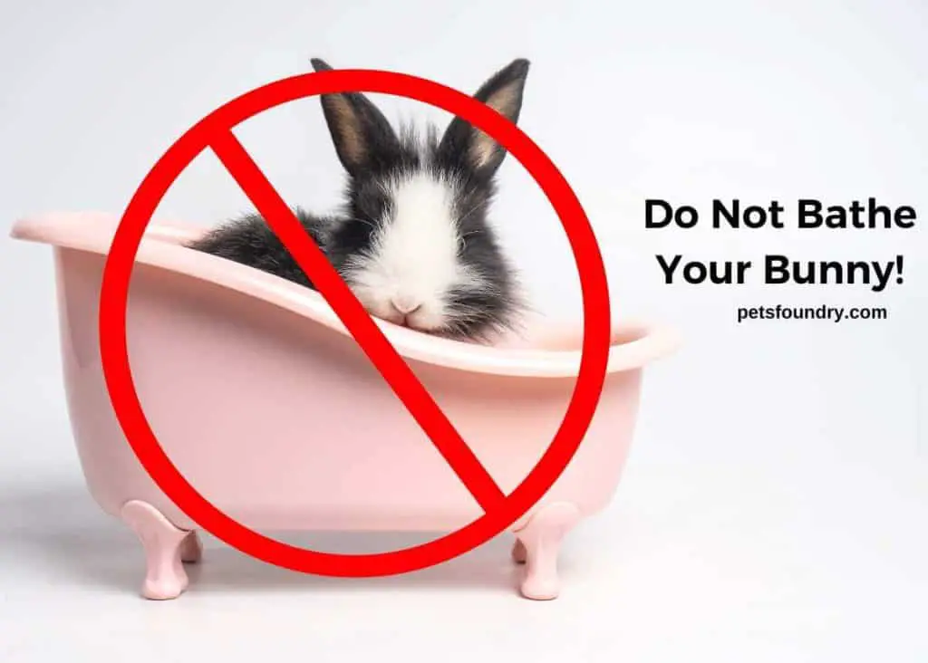 A ban sign on a rabbit in a bath