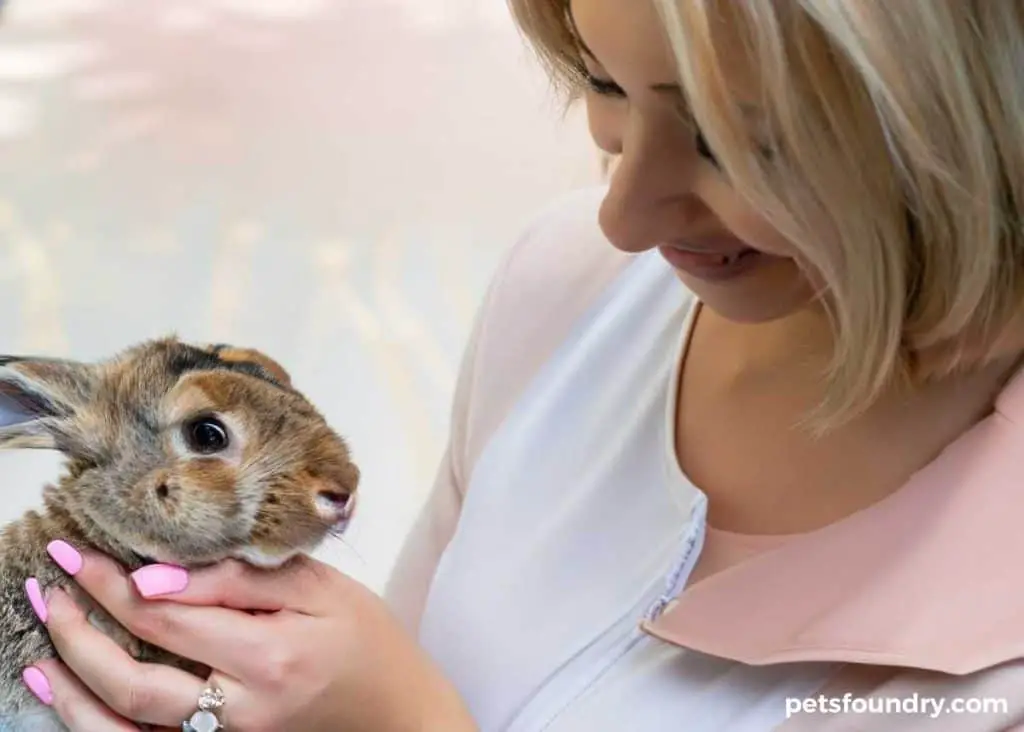 blonde haired woman holds brown rabbit. Shaving a rabbit calming tips