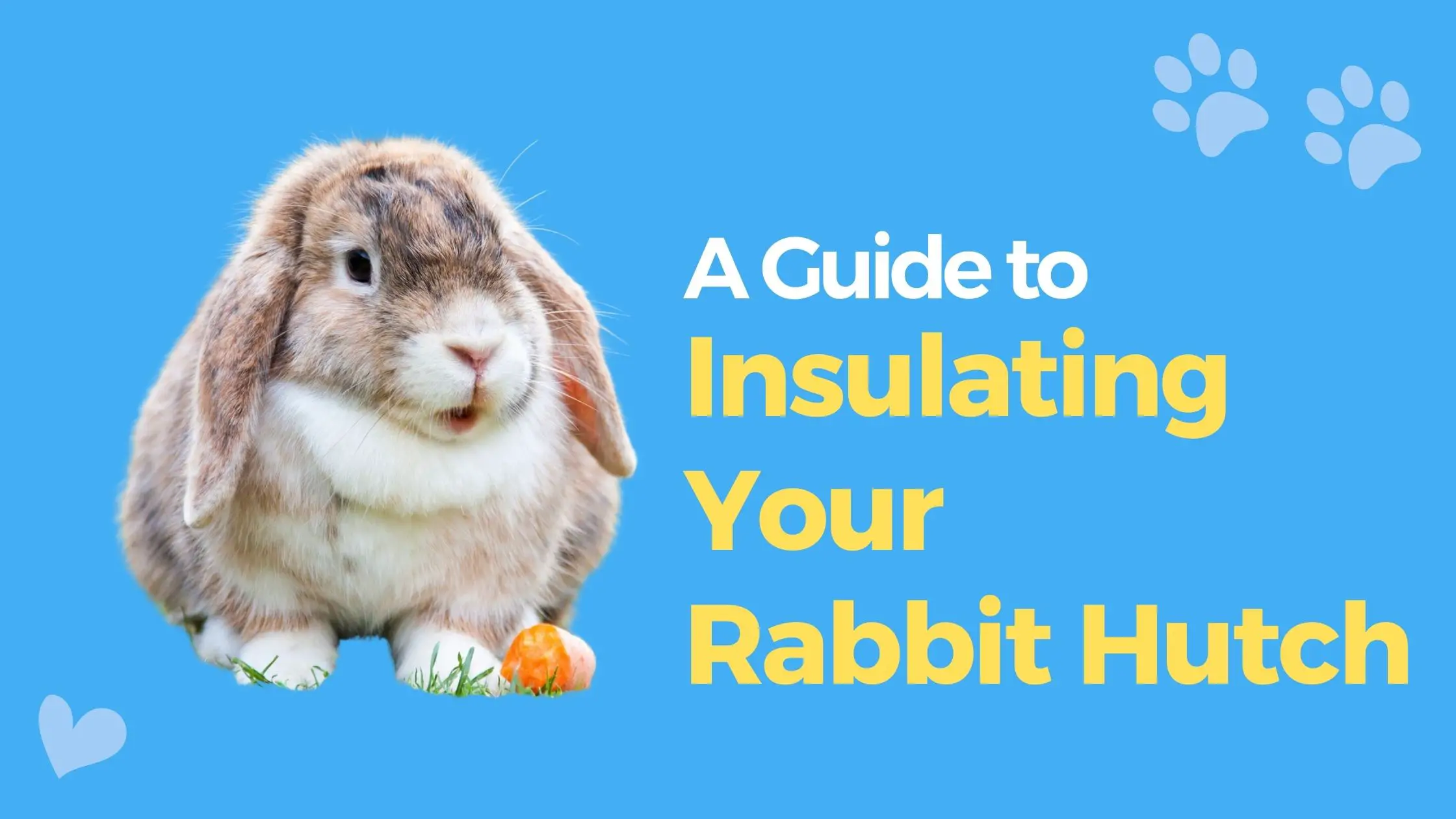 A Guide to Insulating Your Rabbit Hutch