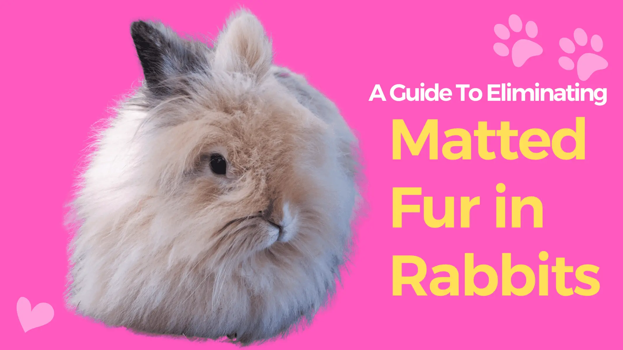 rabbit matted fur