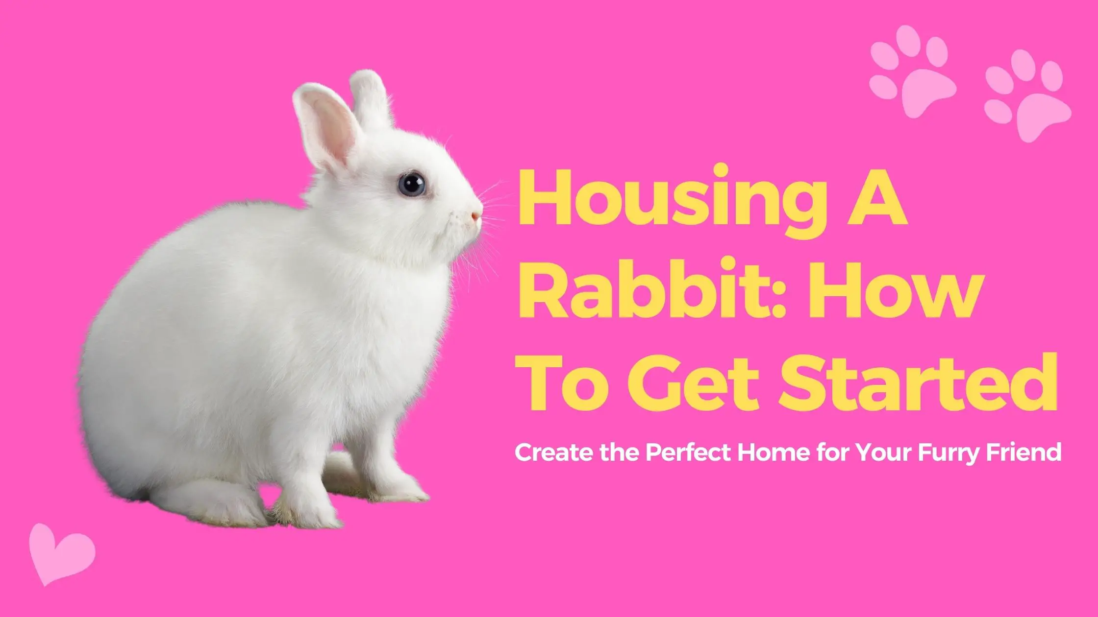 Housing A Rabbit: How To Get Started